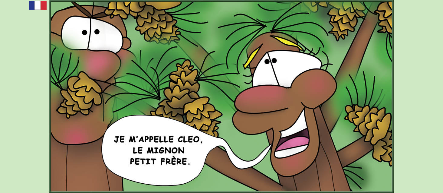 Bizzy Buddies Snail's Pace Productions Des histoires educatives illustrees et humoristiques en plusierur langues Vuja Day Multi Lingual Languages