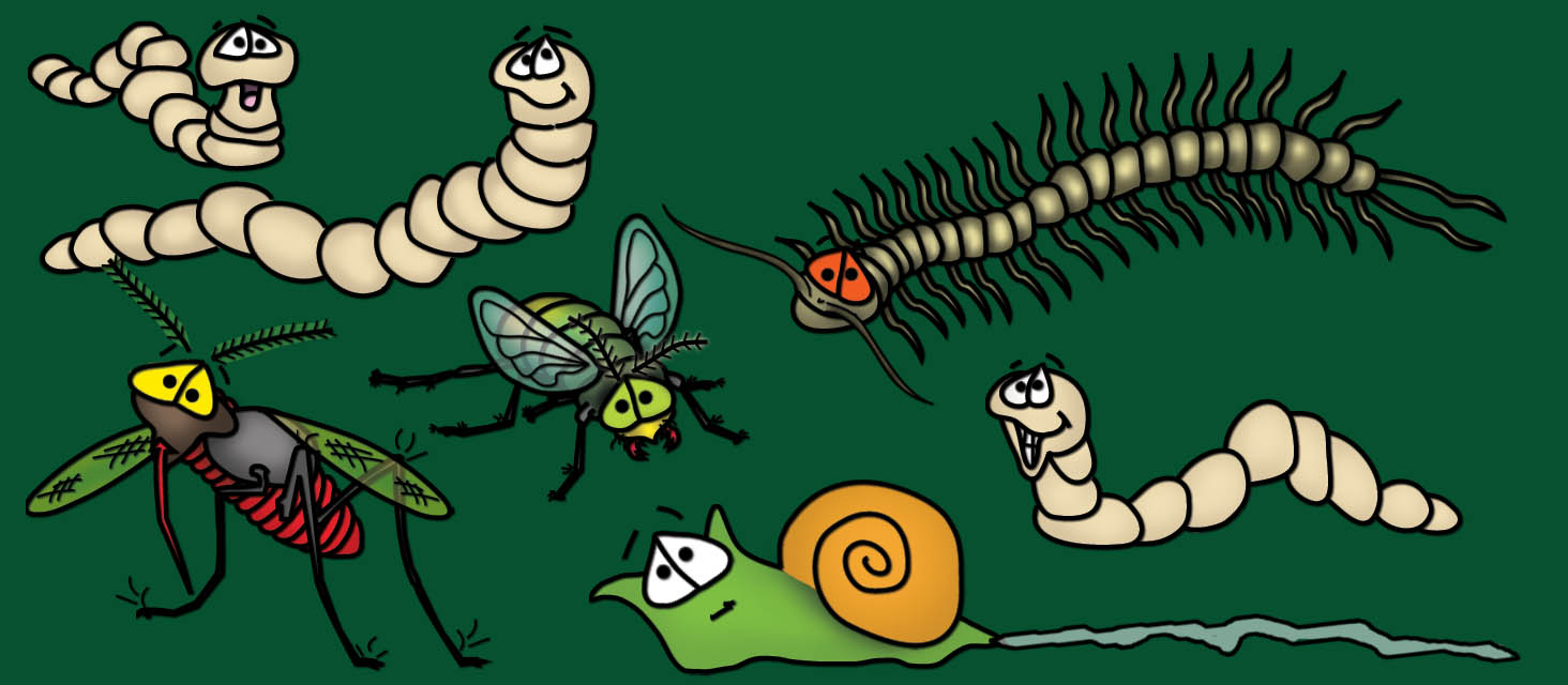 The World's Best Protein The Bizzy Buddies Snail's Pace Productions Vuja Day Comedian Writer Artist