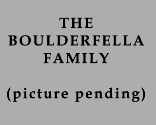 The Bizzy Buddies Snail's Pace Productions Humorous Illustrated Stories Vuja Day Artist Illustrator The Boulderfella Family
