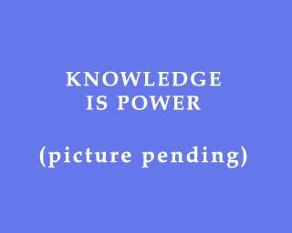 The Bizzy Buddies Snail's Pace Productions Humorous Illustrated Stories Vuja Day Artist Illustrator Knowledge Is Power