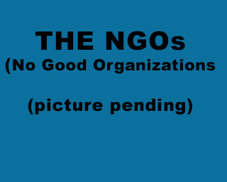 The Bizzy Buddies Snail's Pace Productions Humorous Illustrated Stories Vuja Day Artist Illustrator Non Governmental Organization Non Good Organization The NGOs World Economic Forum