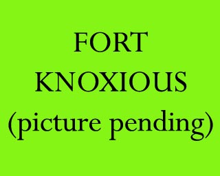 The Bizzy Buddies Snail's Pace Productions Humorous Illustrated Stories Vuja Day Artist Illustrator Fiat Economy Fort Knoxious Fort Knox