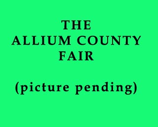 The Bizzy Buddies Snail's Pace Productions Humorous Illustrated Stories Vuja Day Artist Illustrator The Allium County Fair