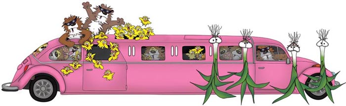 Bizzy Buddies Snail's Pace Productions