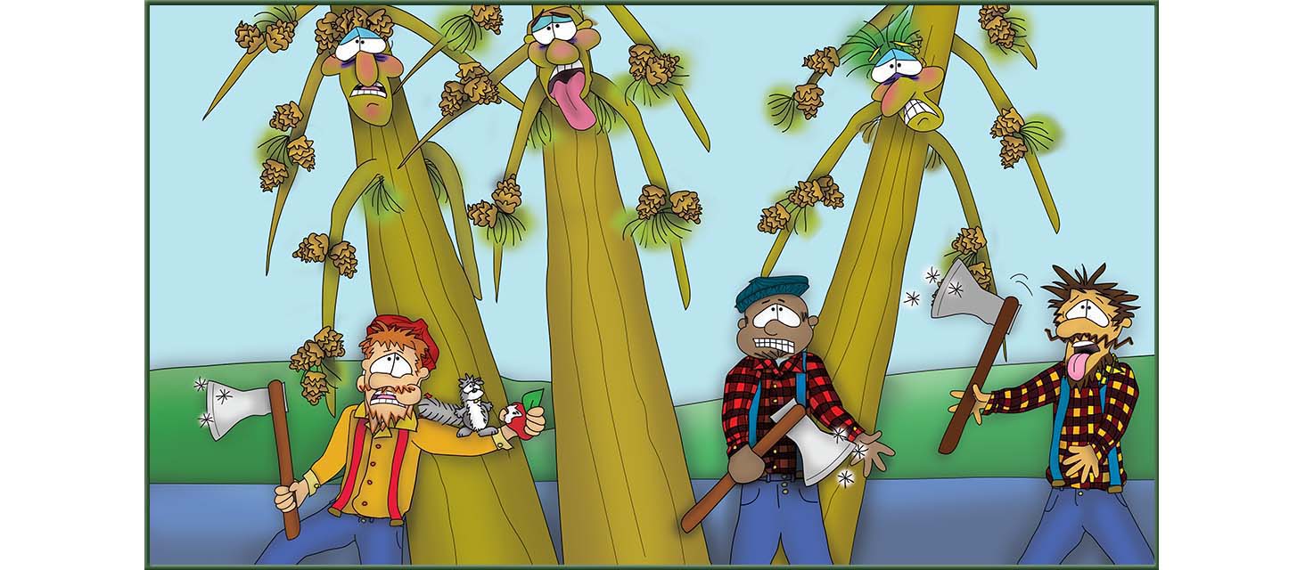 The Three Tree Brothers The Bizzy Buddies Snail's Pace Productions Vuja Day Artist Author Comedy