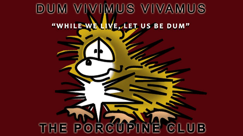 Bizzy Buddies - The Alliuminati Snail's Pace Productions Vuja Day Writer Illustrator